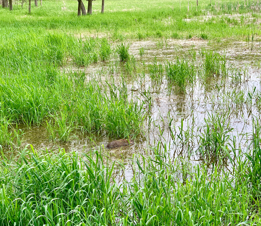Education «River Bend Nature Center», reviews and photos, 1000 Rustad Road, Faribault, MN 55021, USA