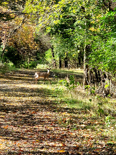 Park «Lee Victory Recreation Park», reviews and photos, 110 Sam Ridley Pkwy E, Smyrna, TN 37167, USA