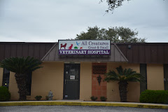 All Creatures Great & Small Veterinary Hospital