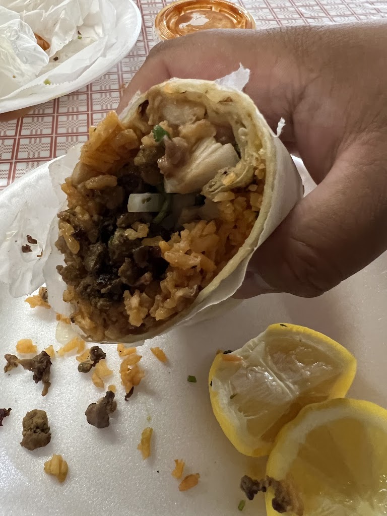 La Nueva Reyna 93204