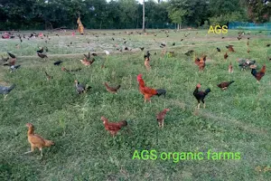 AGS Organic Farms image