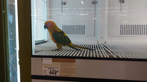 Pet Supply Store «Petco Animal Supplies», reviews and photos, 4475 SW 40th Ave, Ocala, FL 34474, USA