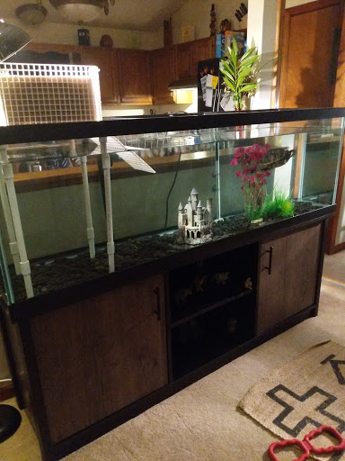 Pet Supply Store «PetSmart», reviews and photos, 10697 E US Hwy 36, Avon, IN 46123, USA