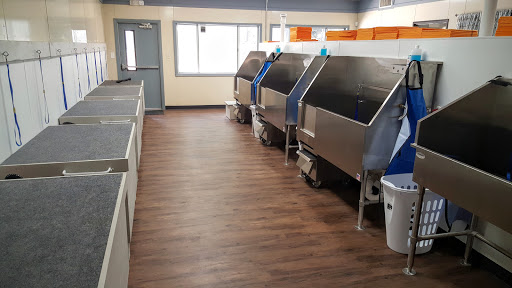 Pet Groomer «U Dirty Dog», reviews and photos, 232 Stevens Entry, Peachtree City, GA 30269, USA