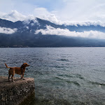 Photo n°6 de l'avis de cristian.e fait le 24/09/2020 à 12:48 sur le  Hotel Locanda Ruscello - Lemon à Limone sul Garda
