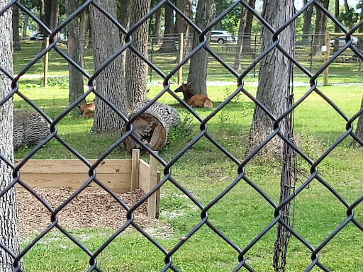 Zoo «Phillips Park Zoo», reviews and photos, 1000 Ray Moses Dr, Aurora, IL 60505, USA