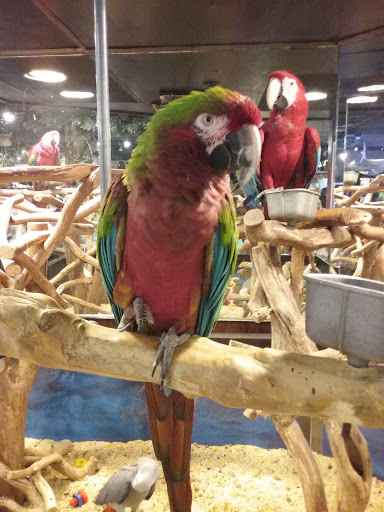 Pet Store «Pet Kingdom», reviews and photos, 4650 S Cleveland Ave, Fort Myers, FL 33907, USA