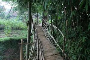 Jembatan pelangi jagabita image