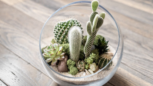 Wholesale Florist «Urban Jungle», reviews and photos, 2603 Sherman Ave NW, Washington, DC 20001, USA