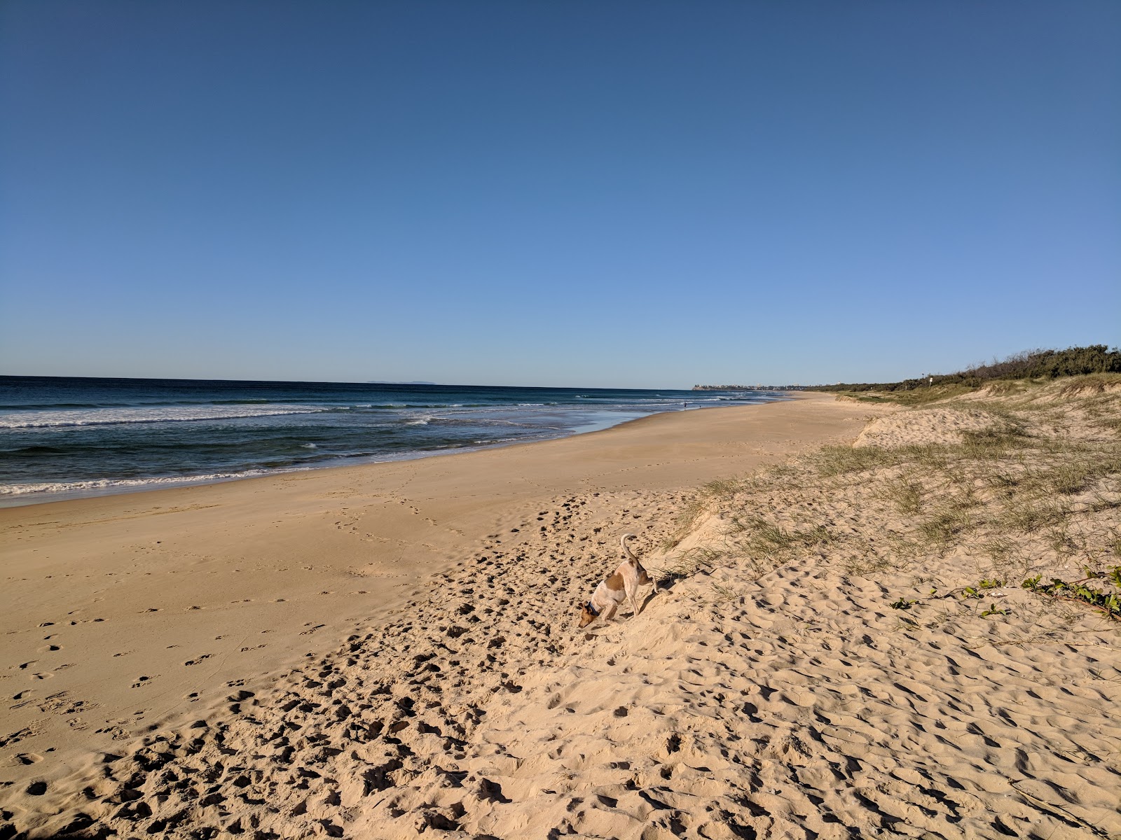 Photo de Dog & Cat Beach - endroit populaire parmi les connaisseurs de la détente