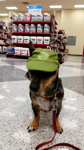 Pet Supply Store «Petco Animal Supplies», reviews and photos, 4209 Wheaton Way, Bremerton, WA 98310, USA