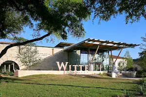 Witte Museum image