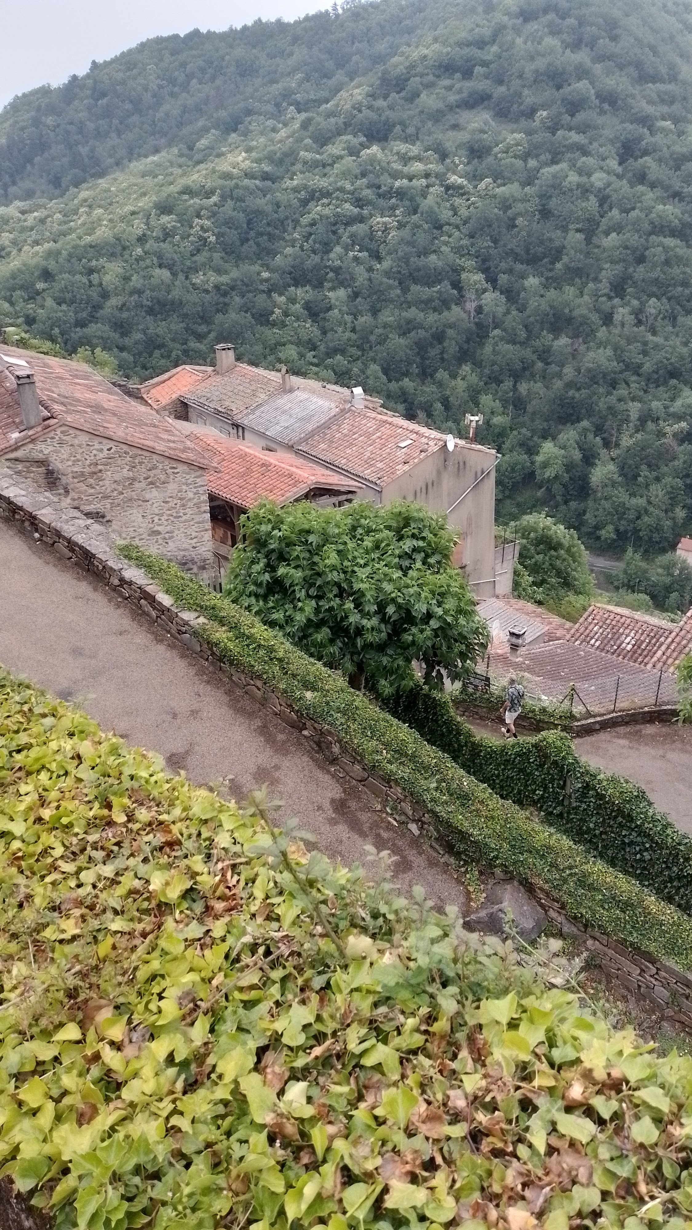 Photo n° 2 de l'avis de Jacques.a fait le 20/06/2023 à 09:27