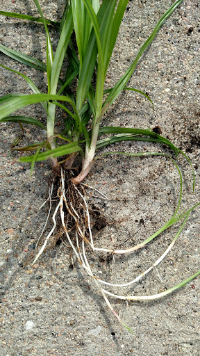 Community Center «Pipal Park Community Center», reviews and photos, 7770 Hascall St, Omaha, NE 68124, USA