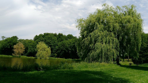 Etang du Mouchet à Chapelle-Viviers