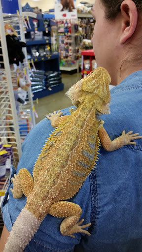 Pet Supply Store «PetSmart», reviews and photos, 533 S Broad St, Meriden, CT 06450, USA