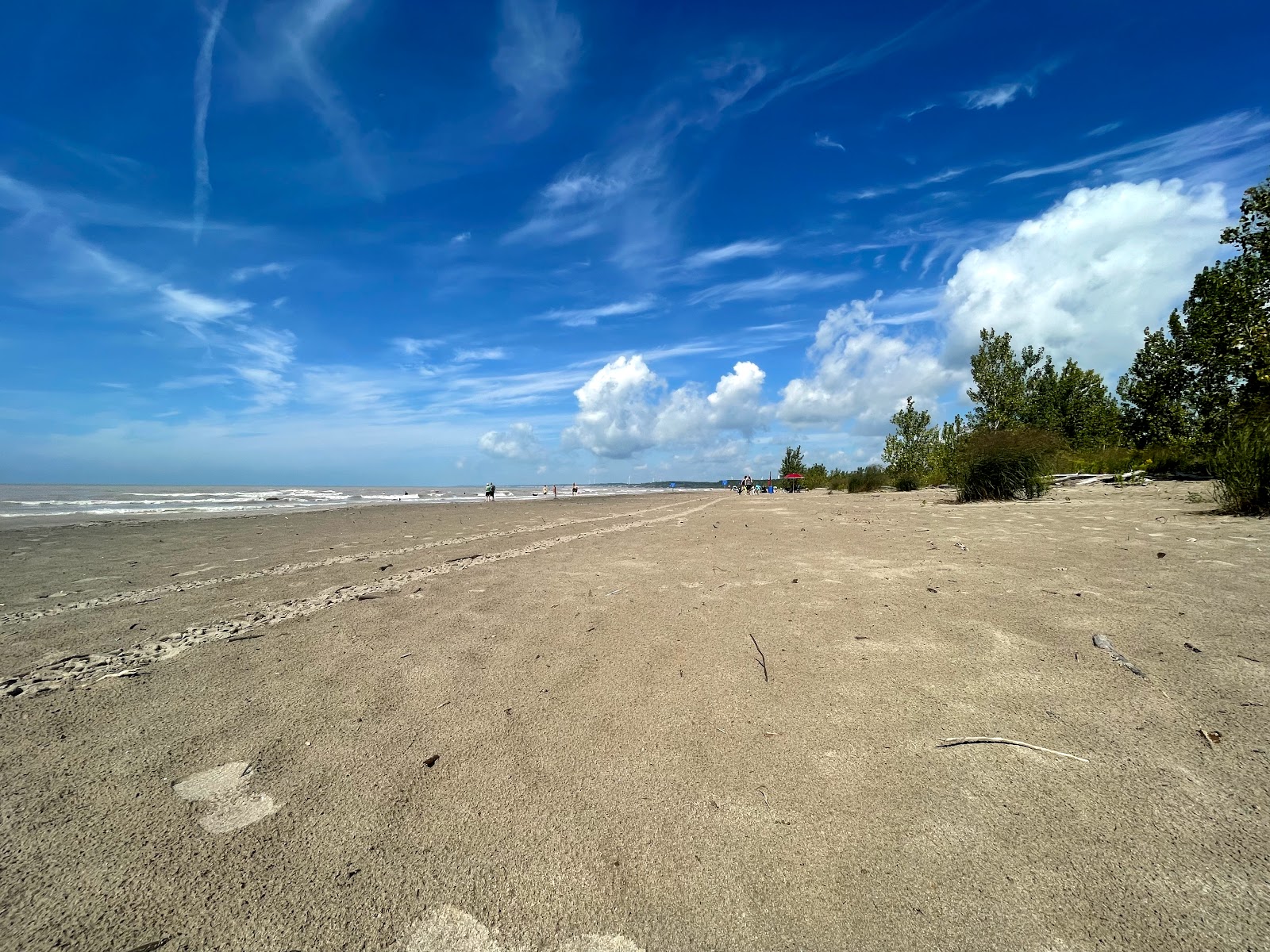 Photo de Dog Beach avec l'eau cristalline de surface