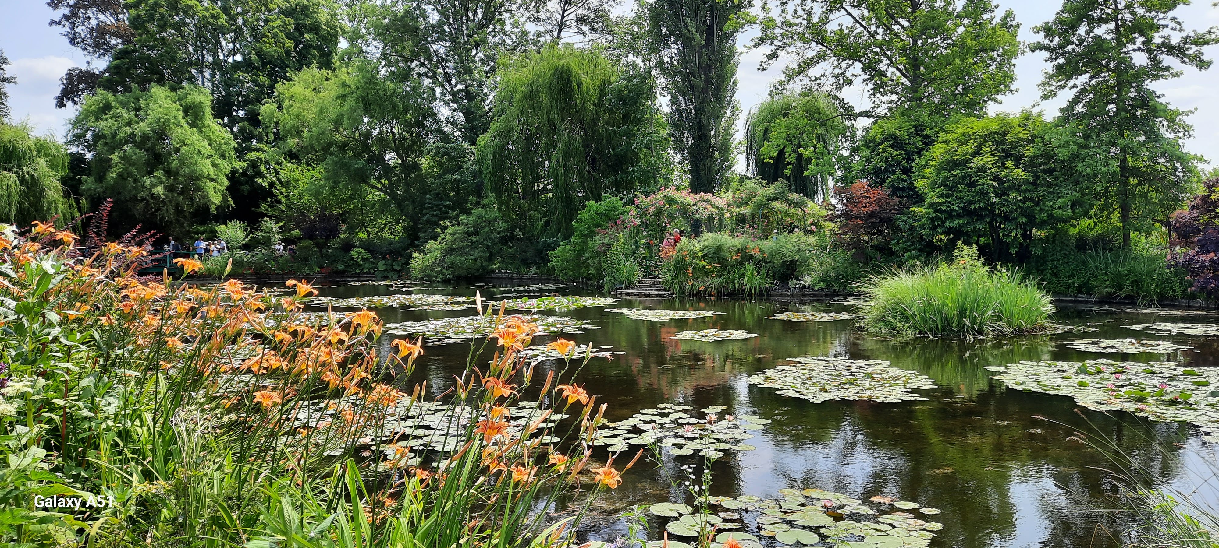 Photo n° 5 de l'avis de Evelyne.o fait le 14/07/2023 à 11:43