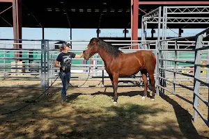 George Ingalls Equestrian Event Center image