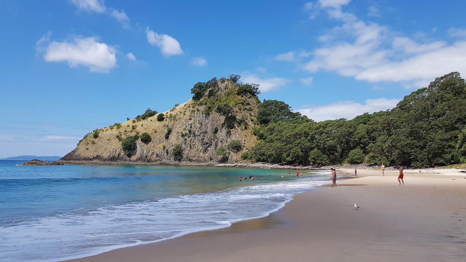 Photo de New Chums Beach avec sable lumineux de surface