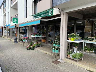 Oya Fleurs à Landerneau