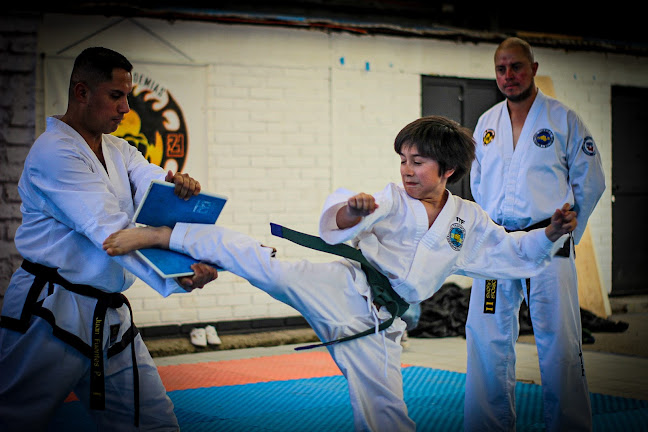 Opiniones de Dojang Jing-Gye Taekwondo en Pedro Aguirre Cerda - Gimnasio