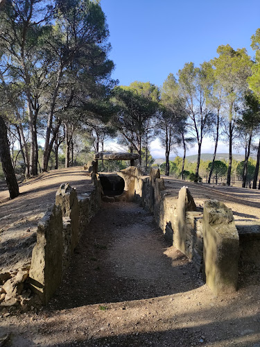 Dolmen des fades à Siran