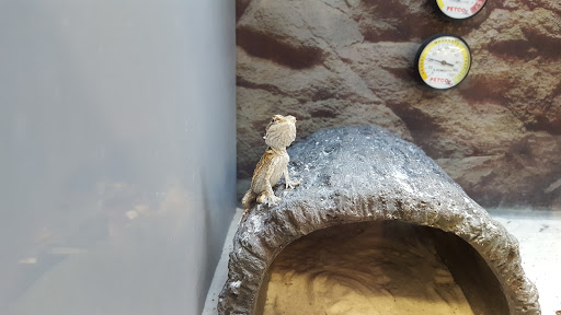 Pet Supply Store «Petco Animal Supplies», reviews and photos, 6805 Mills Civic Pkwy #140, West Des Moines, IA 50266, USA