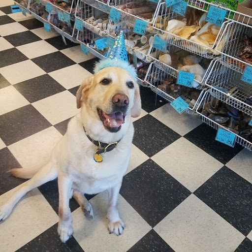 Pet Store «The Pet Place», reviews and photos, 240 Shadowline Dr, Boone, NC 28607, USA