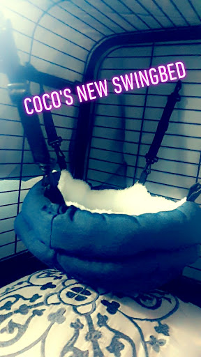 Pet Supply Store «Petco Animal Supplies», reviews and photos, 280 Kensington Blvd, Slidell, LA 70458, USA