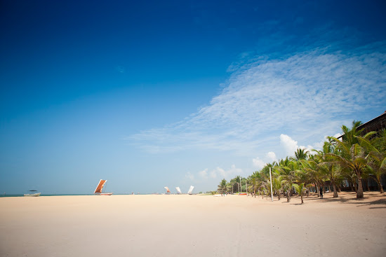Browns Beach