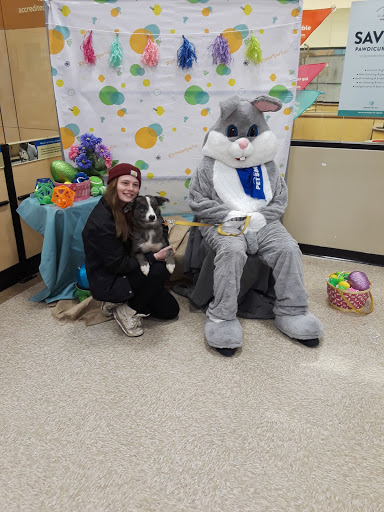 Pet Supply Store «PetSmart», reviews and photos, 316 NE 78th St, Vancouver, WA 98665, USA