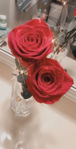 Florist «Stone Oak Florist», reviews and photos, 19190 Stone Oak Pkwy Ste 104, San Antonio, TX 78258, USA