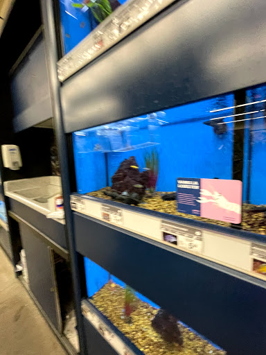 Pet Supply Store «Petco Animal Supplies», reviews and photos, 1945 W Palmetto St #250, Florence, SC 29501, USA