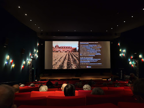 Festival International du Film Historique Association à Pessac