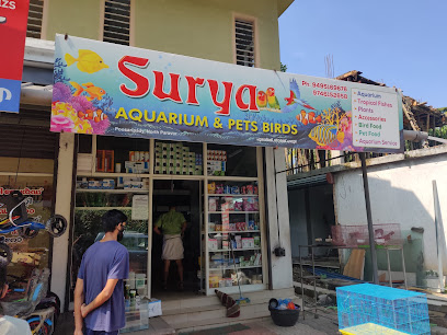 Surya Fancy Fish Shop