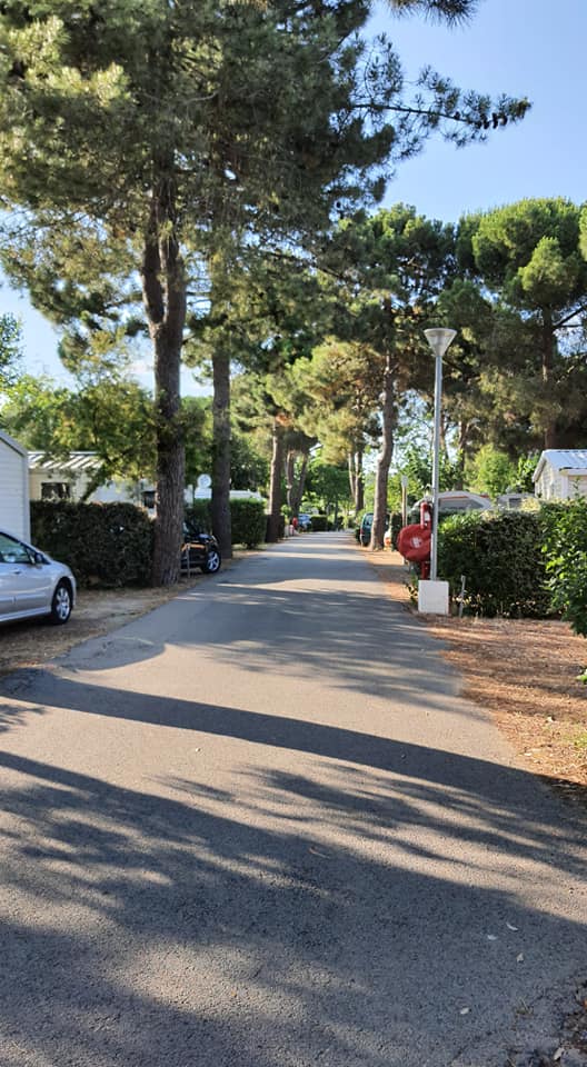Photo n° 5 de l'avis de stéphanie.A fait le 28/06/2021 à 07:57