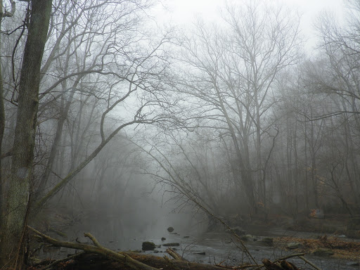 Nature Preserve «White Clay Creek State Park Nature Center», reviews and photos, 1475 Creek Rd, Newark, DE 19711, USA
