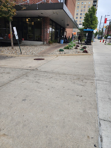 Shelter Association-Ann Arbor