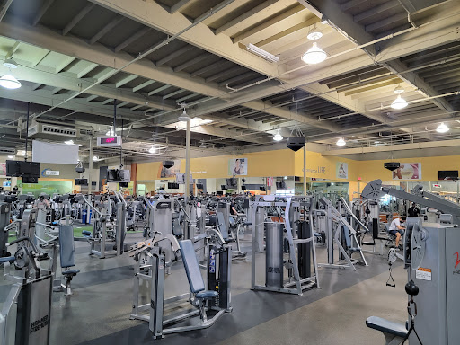 Gym «24 Hour Fitness San Mateo Super Sport», reviews and photos, 93 Bovet Rd, San Mateo, CA 94402, USA