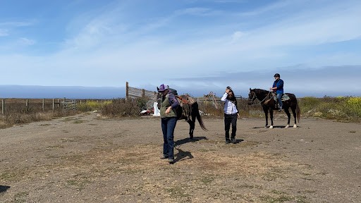 Stable «Ross Ranch», reviews and photos, 28300 Philo Greenwood Rd, Elk, CA 95432, USA