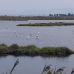 Photo n°2 de l'avis de Tai.a fait le 24/08/2018 à 16:12 sur le  Hotel Santa Gilla à Capoterra