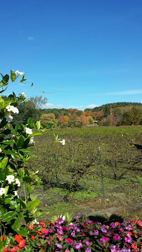 Winery «Fulchino Vineyard», reviews and photos, 187 Pine Hill Rd, Hollis, NH 03049, USA