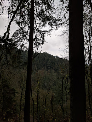 Park «Macleay Park», reviews and photos, NW 29th Ave & Upshur St, Portland, OR 97210, USA