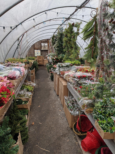 Greenhouse «Country Grapevine», reviews and photos, 510 N Hokendauqua Dr, Bath, PA 18014, USA