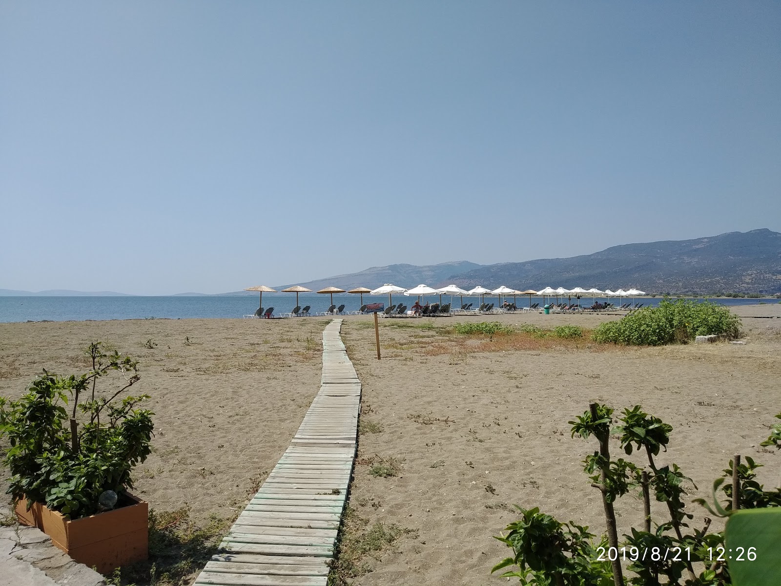 Photo de Kalloni beach zone des équipements
