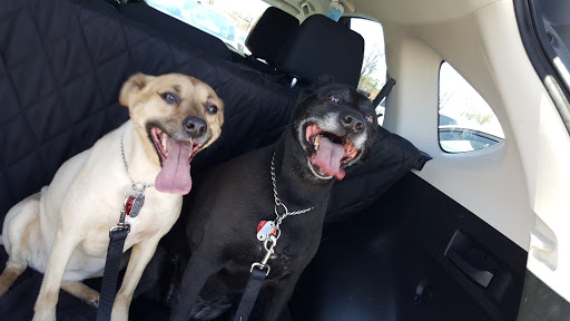 Pet Supply Store «PetSmart», reviews and photos, 8111 Brier Creek Pkwy, Raleigh, NC 27617, USA