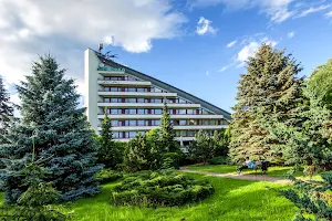 Hotel Jaskółka image