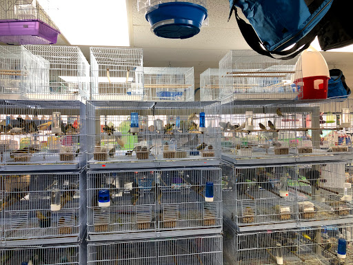 Pet Supply Store «Neighborhood Pet Shop», reviews and photos, 574 Hialeah Dr, Hialeah, FL 33010, USA