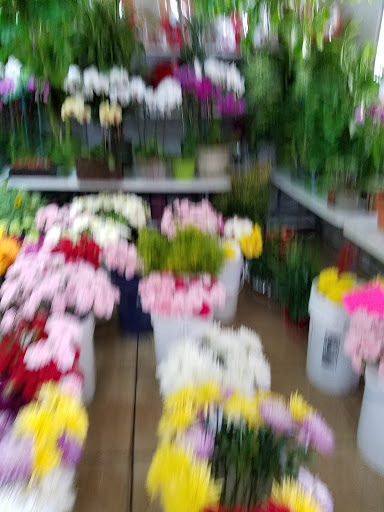 Florist «Avalon Flowers», reviews and photos, 1257 N Avalon Blvd, Wilmington, CA 90744, USA